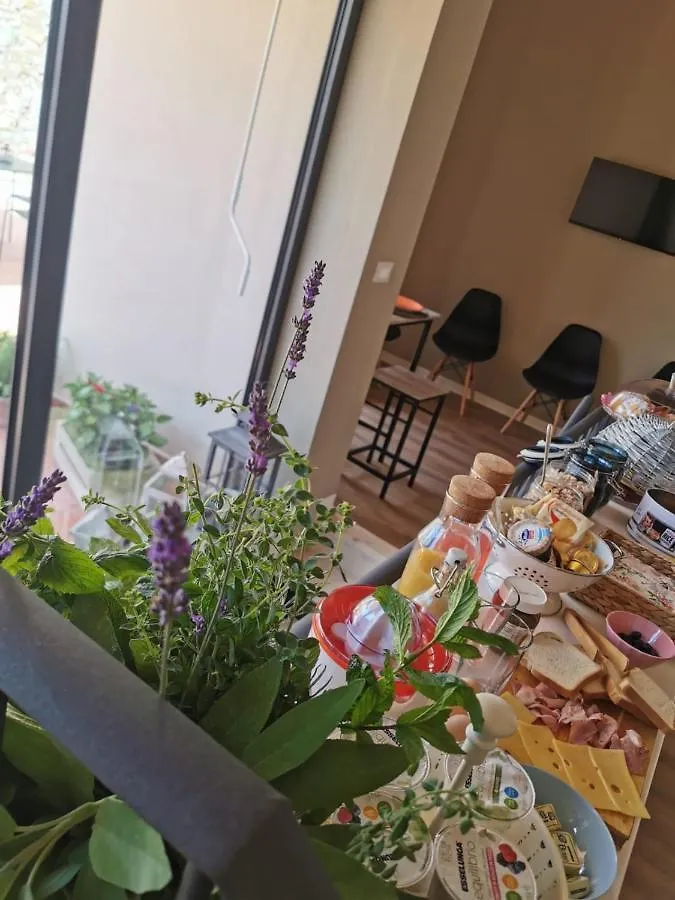L'Iris B&B In Terrazza 卢卡 住宿加早餐酒店